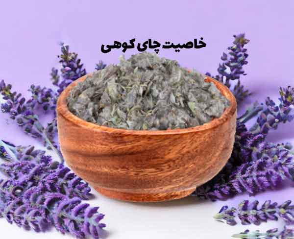 خواص شگفت‌انگیز چای کوهی: چای کوهی برای چی خوبه ؟ چای کوهی، دمنوشی گیاهی با عطر و طعمی دلنشین است. این گیاه که در دامنه کوه‌ها و مراتع می‌روید، به واسطه خواص بی‌شماری که برای سلامتی دارد، به عنوان یک داروی گیاهی ارزشمند شناخته می‌شود. در این مقاله قصد داریم به بررسی فواید  چای کوهی بپردازیم و با این ...