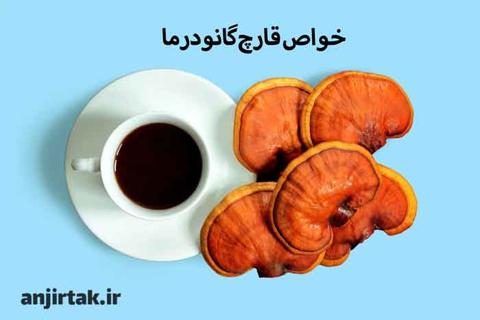 قارچ گانودرما، که با نام‌های علمی Ganoderma lucidum و نام‌های عمومی ری‌شی و لینگ‌ژی نیز شناخته می‌شود، یکی از قارچ‌های دارویی معروف در طب سنتی چینی و سایر سیستم‌های دارویی آسیایی است. این قارچ به خاطر خواص درمانی گسترده‌اش از زمان‌های باستان مورد توجه بوده است. در این مقاله به بررسی جامع و کامل خواص ...