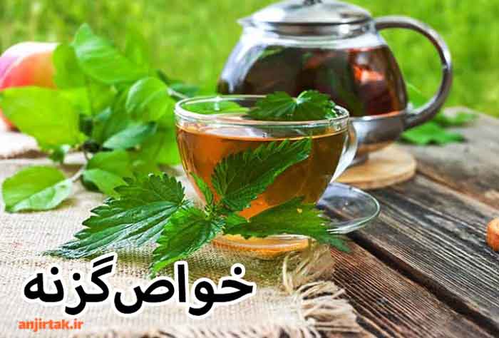 گزنه، گیاهی پرخاصیت با کاربردهای فراوانگزنه، گیاهی علفی و چند ساله است که در سرتاسر جهان به وفور یافت می‌شود. این گیاه به دلیل خواص دارویی و درمانی فراوانی که دارد، از دیرباز مورد توجه بشر بوده است. در طب سنتی، از گزنه برای درمان انواع بیماری‌ها استفاده می‌شده است و امروزه نیز به عنوان یک داروی گیاه ...