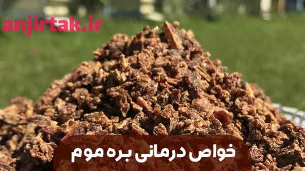 عسل، محصولی شیرین و خوشمزه، تنها ثمره زنبورهای عسل نیست. این موجودات زحمتکش، مواد ارزشمند دیگری نیز تولید می‌کنند که خواص درمانی شگفت‌انگیزی دارند. یکی از این گنجینه‌های طبیعی، بره موم نام دارد. در این مقاله به بررسی این ماده شگفت‌انگیز و خواص بی‌نظیر آن می‌پردازیم. بره موم چیست؟ بره موم ماده‌ای رزی ...