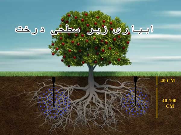آبیاری-زیر-سطحی-درخت-انجیر